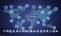 TP钱包充币不到账？解决方案与用户须知