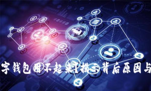 为什么数字钱包用不起来?揭示背后原因与解决方案