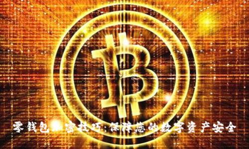 零钱包加密技巧:保障您的数字资产安全