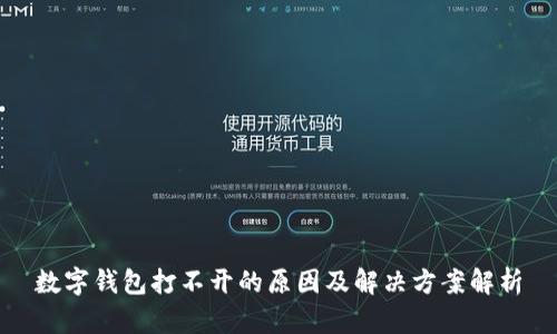 数字钱包打不开的原因及解决方案解析