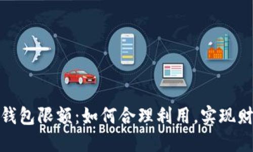 数字钱包二类钱包限额:如何合理利用,实现财务管理最大化