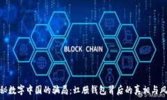   揭秘数字中国的骗局：虹膜钱包背后的真相与风