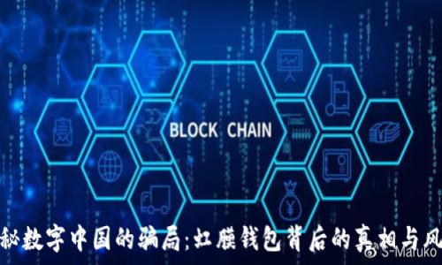 揭秘数字中国的骗局:虹膜钱包背后的真相与风险