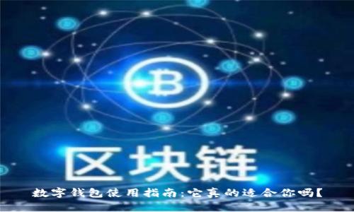 数字钱包使用指南:它真的适合你吗?