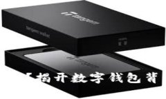数字钱包存的是什么？揭开数字钱包背后的价值