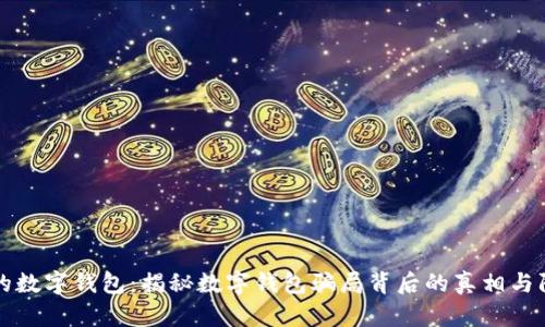 保护你的数字钱包:揭秘数字钱包骗局背后的真相与防范指南