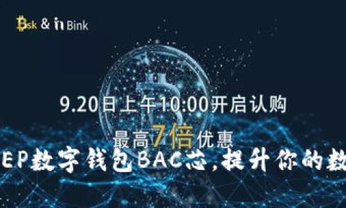 如何利用DCEP数字钱包BAC芯,提升你的数字金融体验