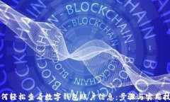 如何轻松查看数字钱包账户信息：步骤与实用技