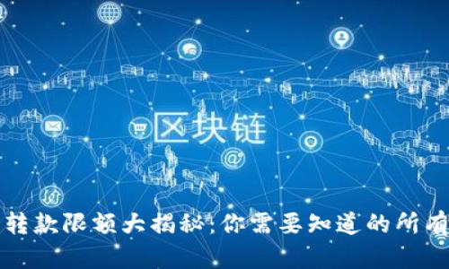 数字钱包转款限额大揭秘:你需要知道的所有关键细节