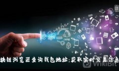 如何使用区块链浏览器查询钱包地址：获取实时
