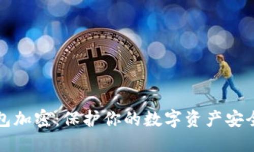 全面解读钱包加密:保护你的数字资产安全的高效方法