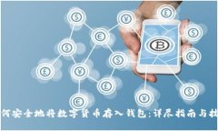 如何安全地将数字货币存入钱包：详尽指南与技