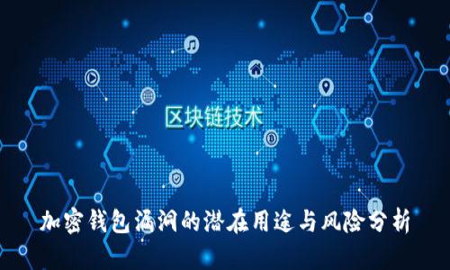 加密钱包漏洞的潜在用途与风险分析