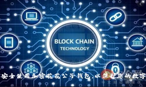 如何安全使用加密花花公子钱包,以保护您的数字资产