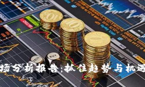 加密钱包市场分析报告:抓住趋势与机遇的全景视角