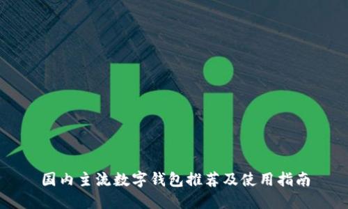 国内主流数字钱包推荐及使用指南