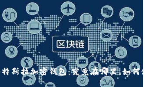 揭秘特斯拉加密钱包:究竟在哪里,如何使用?