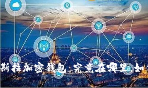 揭秘特斯拉加密钱包:究竟在哪里,如何使用?