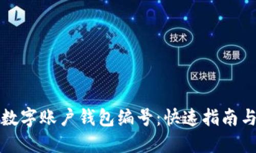 如何查询数字账户钱包编号:快速指南与用户技巧