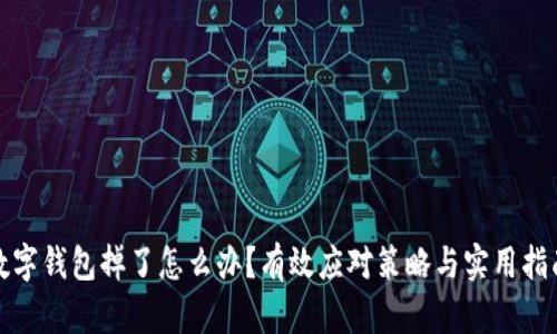 数字钱包掉了怎么办?有效应对策略与实用指南