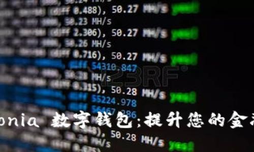 探索 Armonia 数字钱包：提升您的金融管理体验