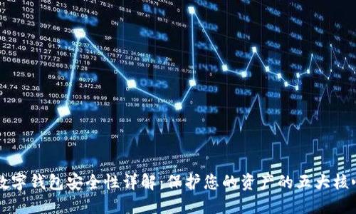 拍立数字钱包安全性详解:保护您的资产的五大核心要素
