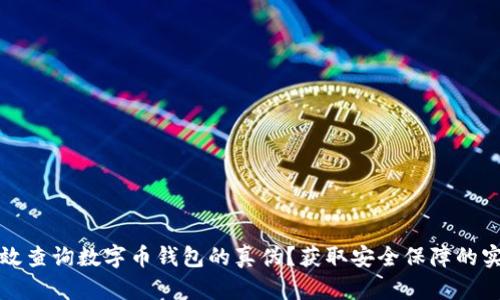 如何有效查询数字币钱包的真伪?获取安全保障的实用指南