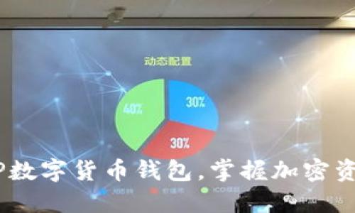 轻松下载DECP数字货币钱包,掌握加密资产管理新方式