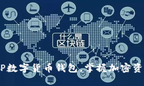 轻松下载DECP数字货币钱包,掌握加密资产管理新方式