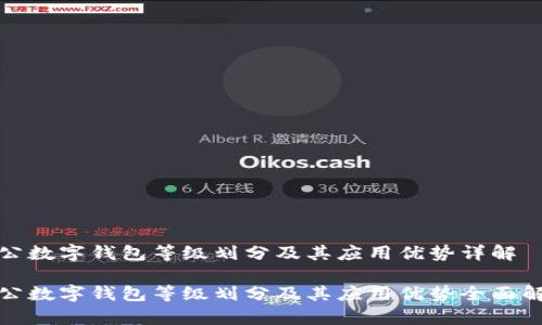 对公数字钱包等级划分及其应用优势详解

对公数字钱包等级划分及其应用优势全面解析