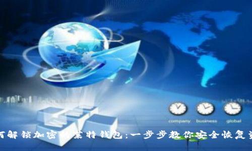 如何解锁加密的莱特钱包：一步步教你安全恢复资金