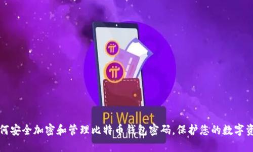 如何安全加密和管理比特币钱包密码,保护您的数字资产