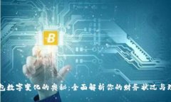 掌握钱包数字变化的奥秘：全面解析你的财务状